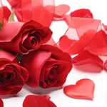 jainodin@gmail.com