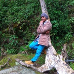 jfredo