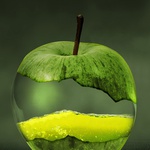 davidkhan_123
