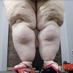 bazilisok