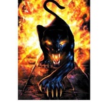 wiccan999