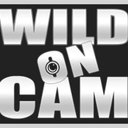 WildOnCam.com