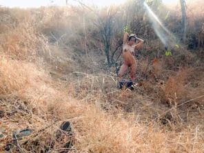 Grass Grass family Shrubland Plant community 