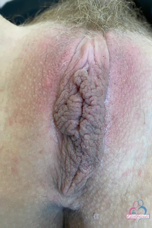 ril018ATK_377322019