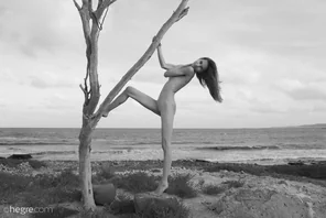 proserpina-joshua-tree-37