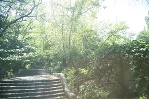 amateur pic Image_001