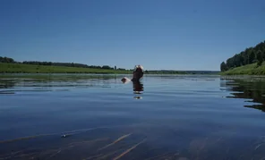 DSC00079