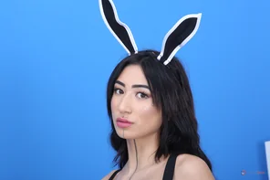 GIO2062__001