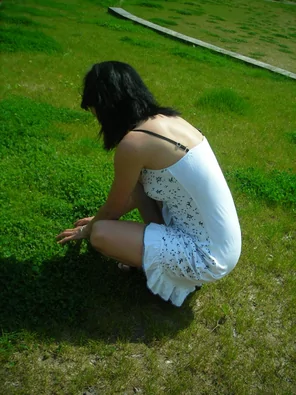 IMG (341)