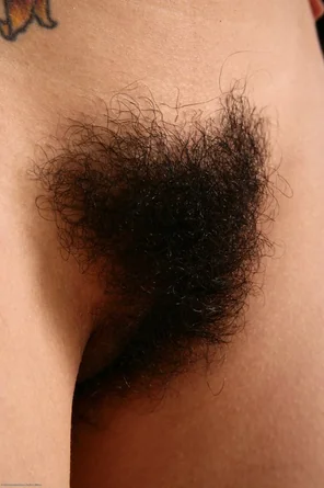 Hairy_Pussy_01_3C823F15_3C4E_4660_B0DC_2E2FBDA37798