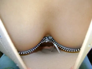 set01579066