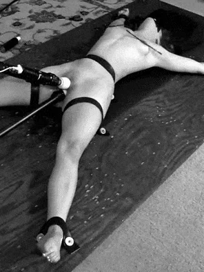 bdsmlr-208979-lwINM5Eh7X