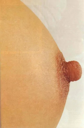 amateur photo 309976260