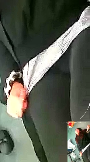 Cameltoe (14)