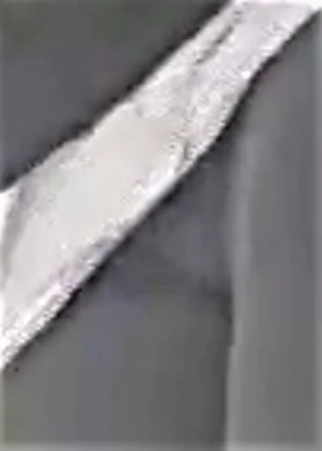 CamelToeBest (4)