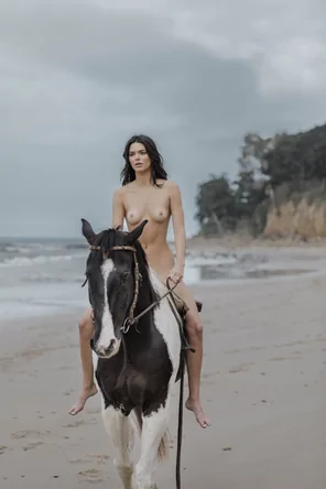 Shore rider