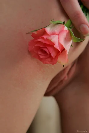 stunning_best-place-for-flower_sasha-k_high_0126