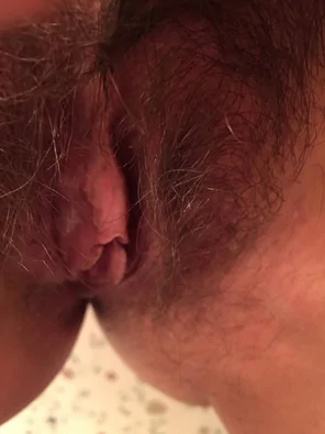 Large engorged clit covered with throbing labia. Can you see the vein?
