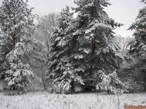 IMG (32)