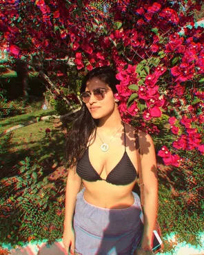 PictureRoses