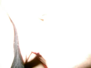 l; (457)