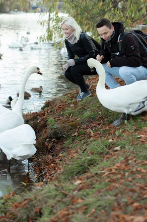 sexart_prague-fudge-episode-2_frida-sante--ivy-rein--zazie-skymm--nikky-nutz_high_0102