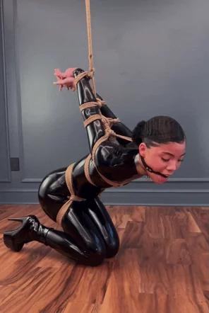 bdsmlr-10356-vN96pjvU34(1)