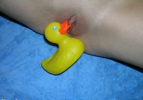 IMG (50)