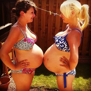 Which one would you pick?