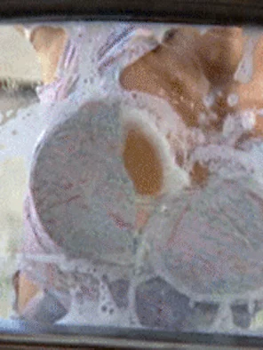 carwashd_ecwfvj69