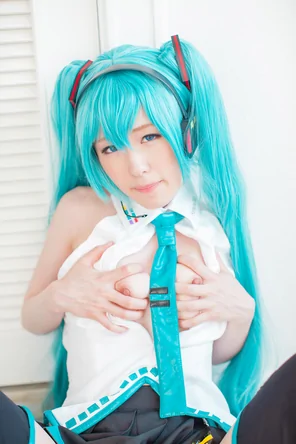 amateur photo [@factory (Tsuchiya Asami)] MikuCos (Vocaloid)_836530-0155