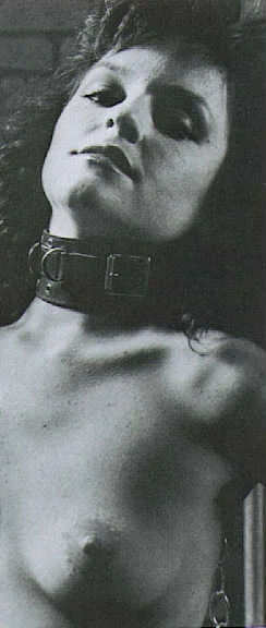 ss-b0366