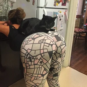 Cats favourite spot
