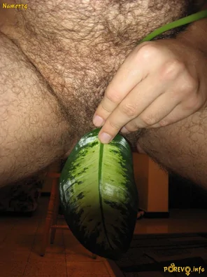 amateur photo IMG (317)