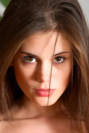 Caprice (50)