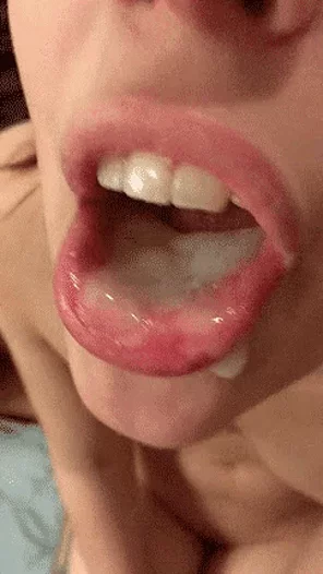 28669169