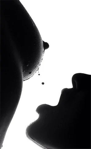 c5308_1000