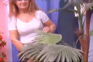 Milf003_1.14.00.01