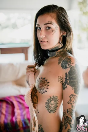 SG Model Beea