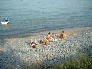 IMG (81)