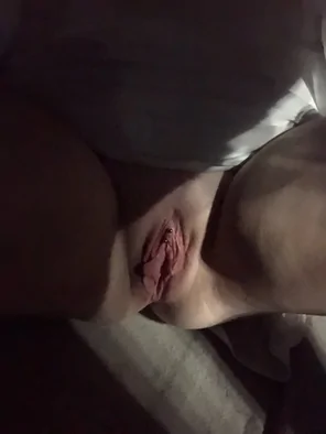 Labia in the moonlight