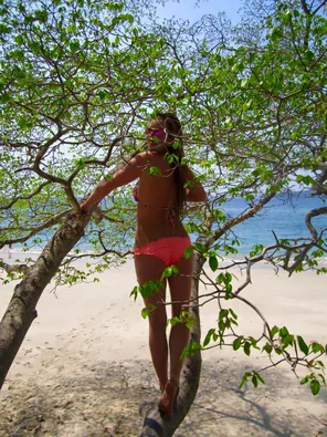 In the trees