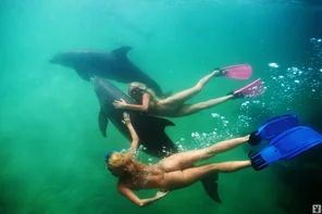 kelly-monaco-victoria-fuller-kalin-olson-wet-dreams-naked-diving-playboy-23