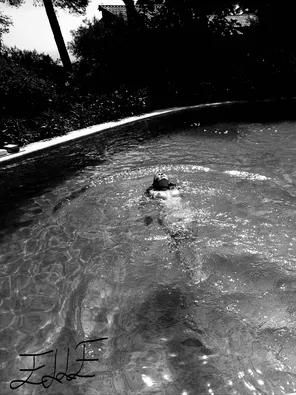 See you soon sun
