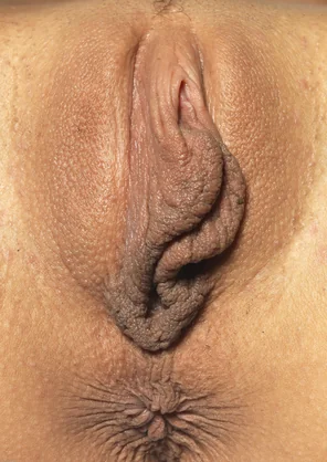 1993642917