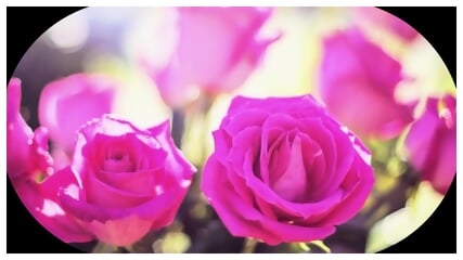 Peaceful Instrumental Relaxing Music
