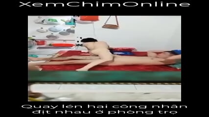Quay Lén Công Nhân địt Nhau ở Phòng Trọ Cty