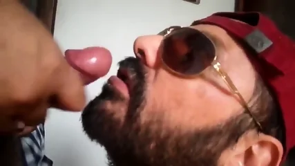 Bezerro Carioca Mamando Os Machos