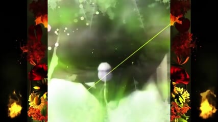 Wilder Video 25