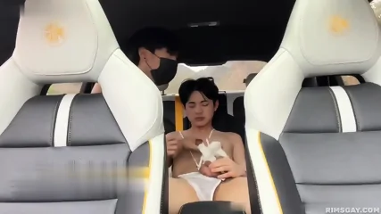 Chinese Carsex